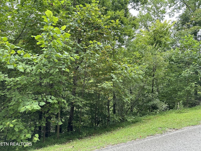 LOT21 Ridge Rd, Caryville, TN 37714