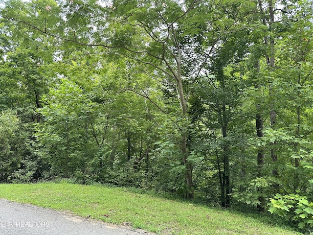 LOT21 Ridge Rd, Caryville, TN 37714