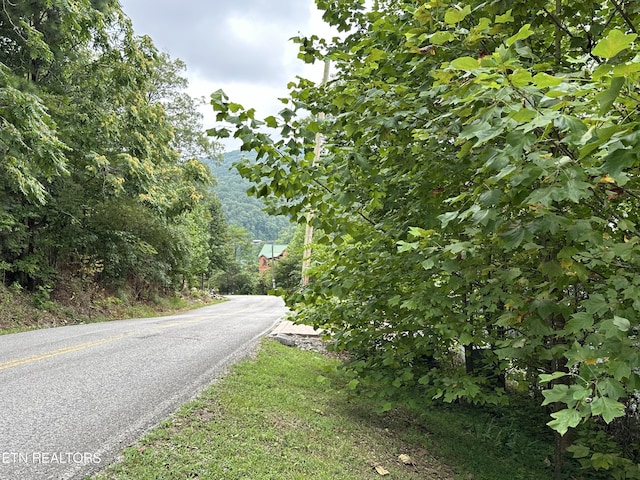 LOT21 Ridge Rd, Caryville, TN 37714