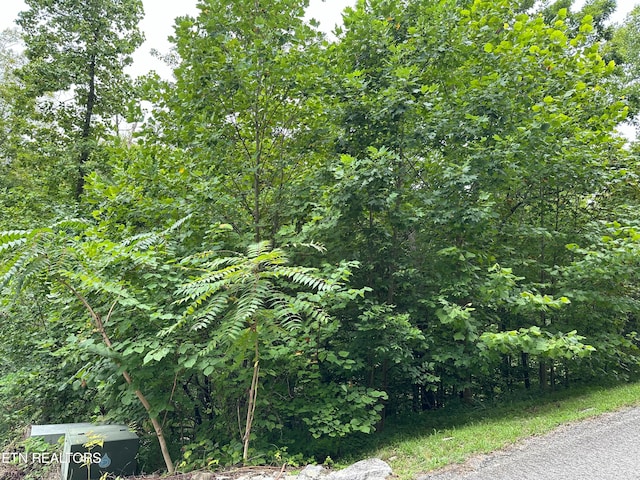 LOT22 Ridge Rd, Caryville TN, 37714 land for sale