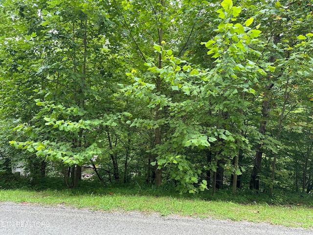 Listing photo 3 for LOT22 Ridge Rd, Caryville TN 37714