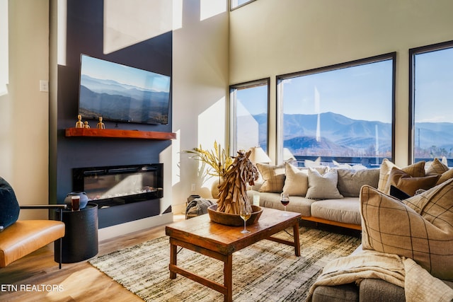 living room featuring wood-type flooring, a mountain view, a high ceiling, and a wealth of natural light