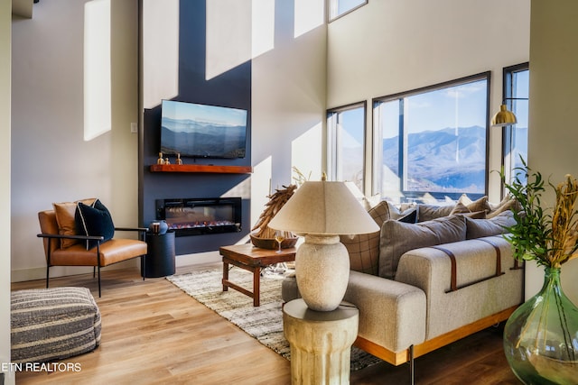 living room with a towering ceiling and hardwood / wood-style floors