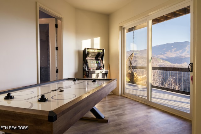 recreation room featuring hardwood / wood-style flooring and a mountain view