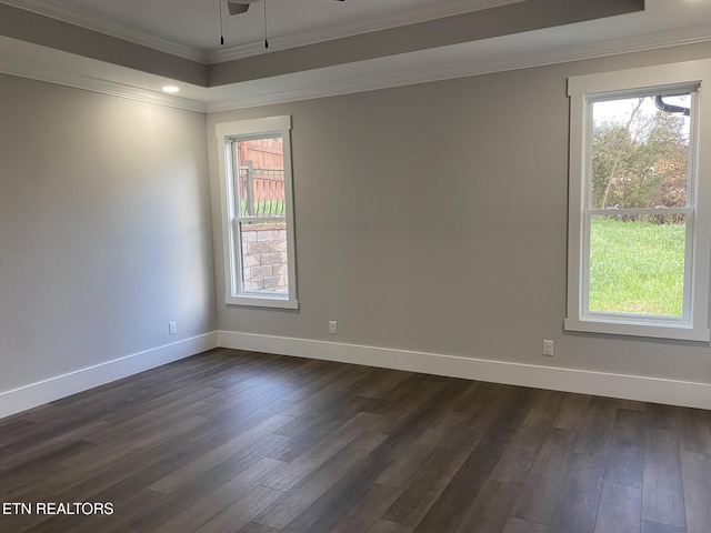 spare room featuring dark hardwood / wood-style flooring, ceiling fan, and ornamental molding