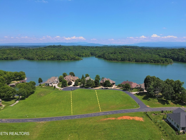 Listing photo 3 for 210 Cormorant Dr, Vonore TN 37885