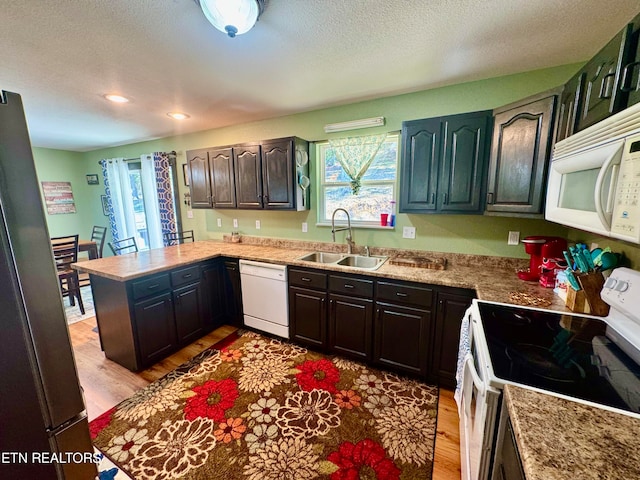 kitchen with a healthy amount of sunlight, light wood-type flooring, sink, and white appliances