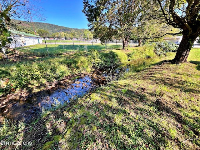 view of yard featuring a mountain view