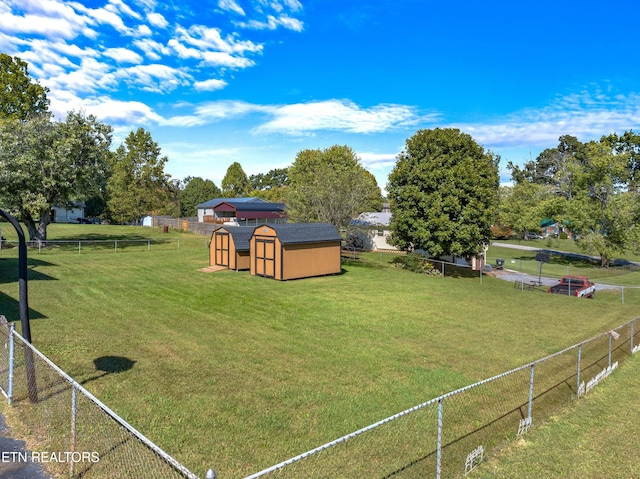 view of yard featuring a shed