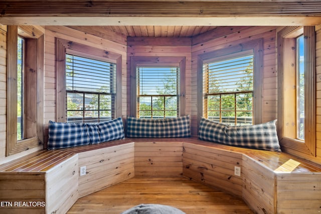 unfurnished room with wooden walls, light wood-type flooring, and a healthy amount of sunlight