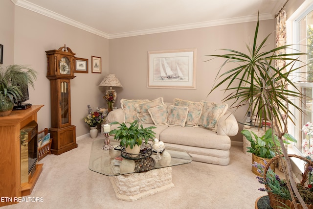 carpeted living room with ornamental molding