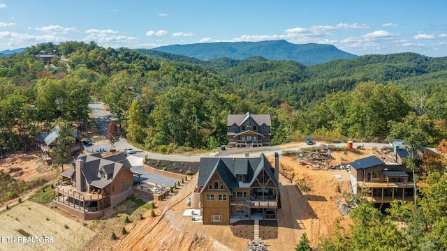 birds eye view of property featuring a mountain view