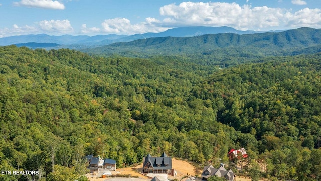 birds eye view of property featuring a mountain view