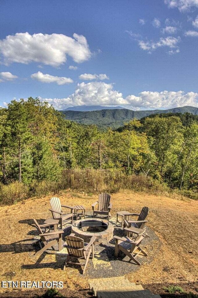 mountain view
