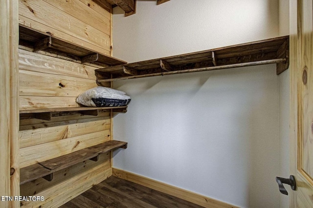 spacious closet with dark hardwood / wood-style flooring