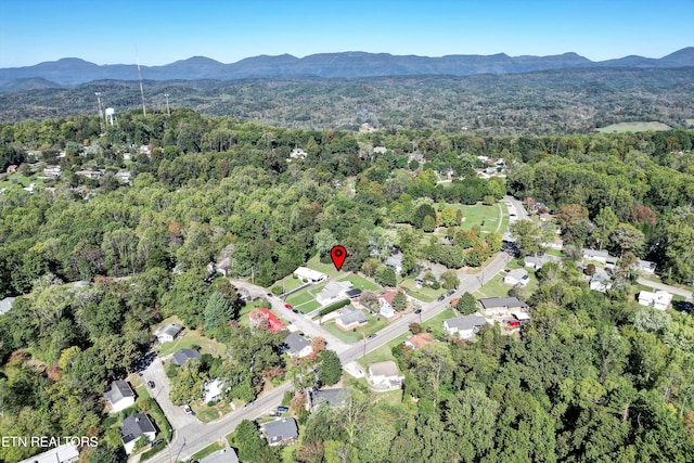 birds eye view of property featuring a mountain view