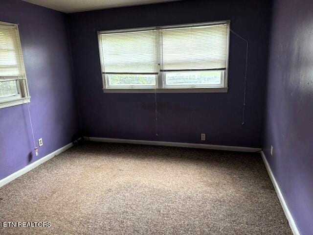 spare room with a healthy amount of sunlight and carpet flooring