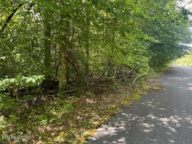 Ardell Way, Cosby, TN 37722