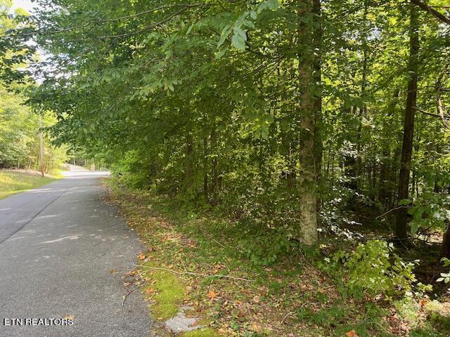 Ardell Way, Cosby, TN 37722