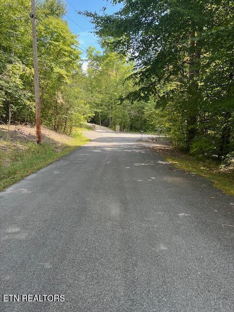 Ardell Way, Cosby, TN 37722