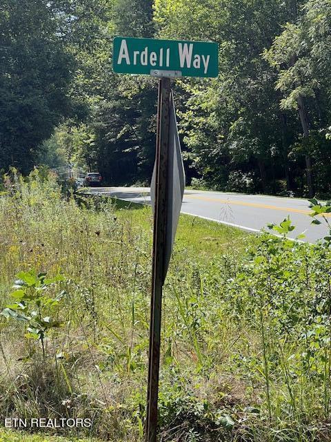 Ardell Way, Cosby, TN 37722