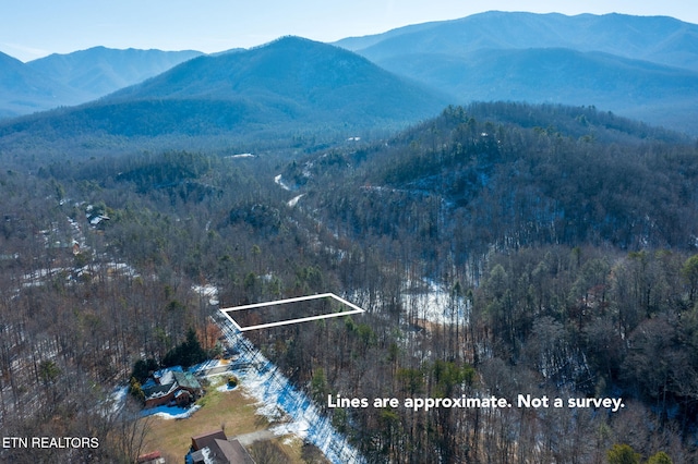 Ardell Way, Cosby, TN 37722