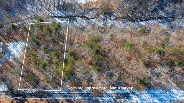 Ardell Way, Cosby, TN 37722