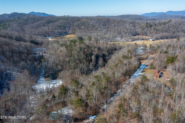 Ardell Way, Cosby, TN 37722