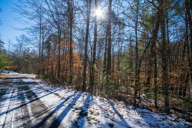 Ardell Way, Cosby, TN 37722