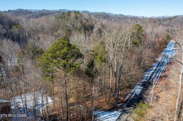 Ardell Way, Cosby, TN 37722