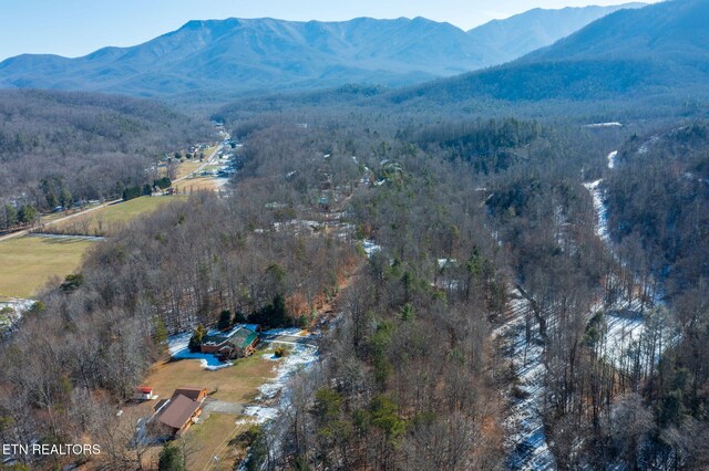 Ardell Way, Cosby, TN 37722