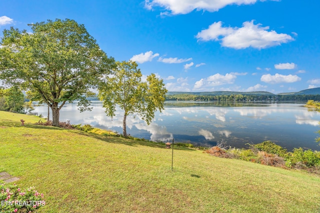 water view featuring a mountain view