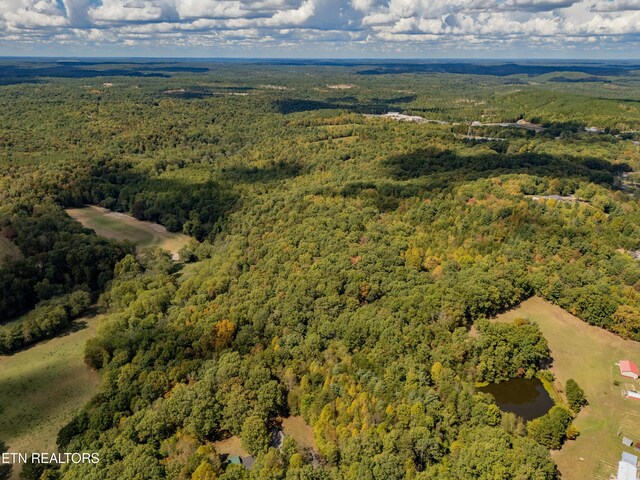 Old Burrville Rd, Sunbright, TN 37872