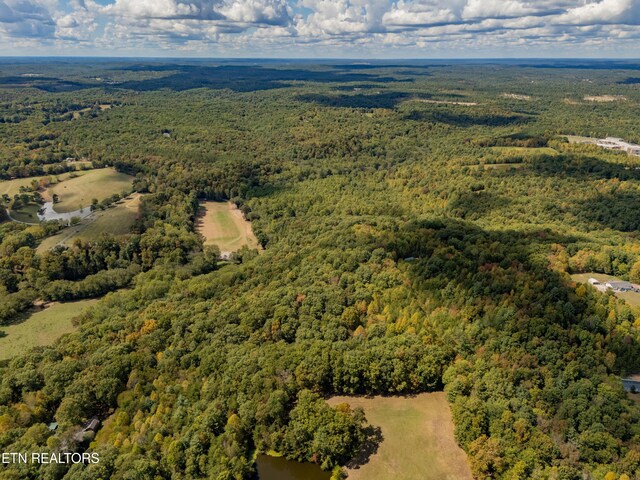 Old Burrville Rd, Sunbright, TN 37872