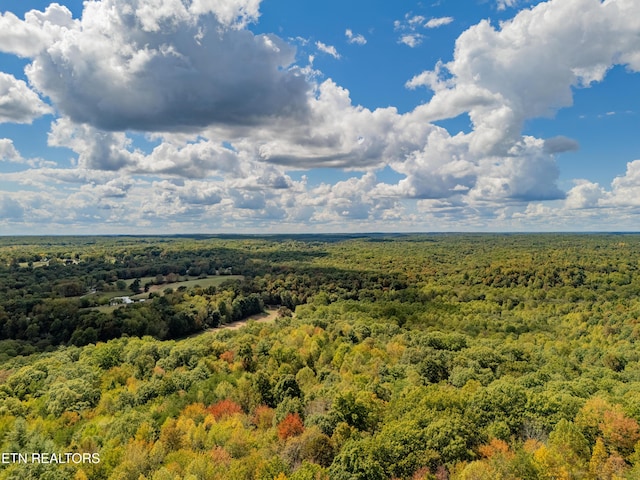 Old Burrville Rd, Sunbright, TN 37872