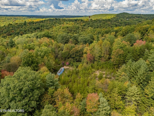 Old Burrville Rd, Sunbright, TN 37872