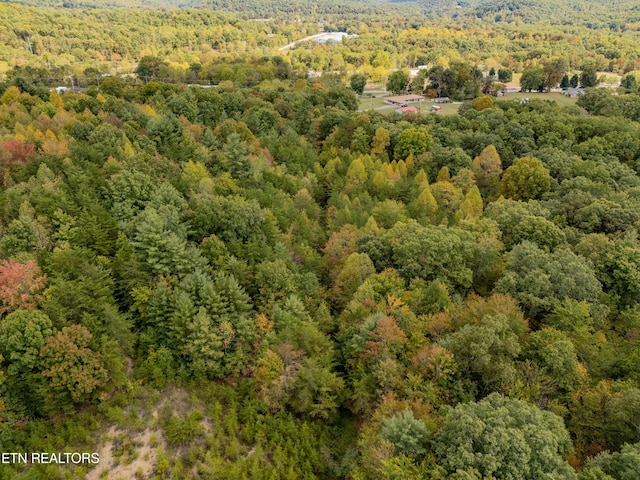 Old Burrville Rd, Sunbright, TN 37872
