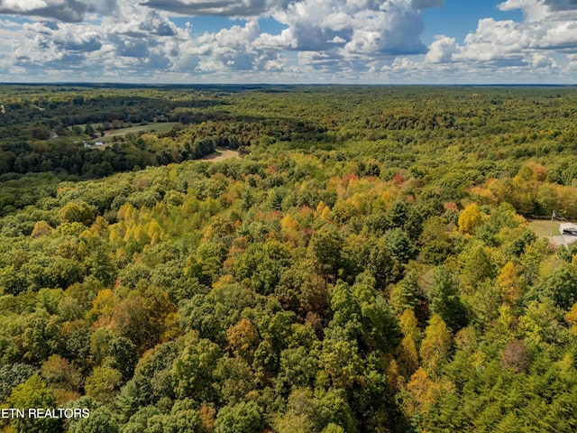 Old Burrville Rd, Sunbright, TN 37872