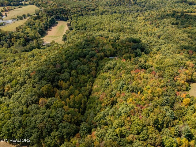 Old Burrville Rd, Sunbright, TN 37872
