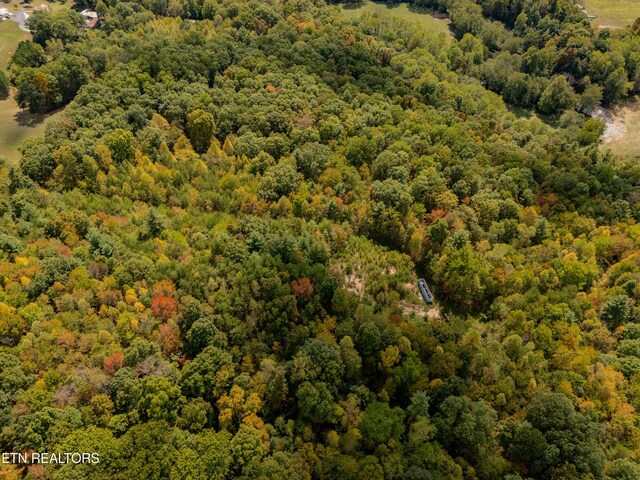 Old Burrville Rd, Sunbright, TN 37872
