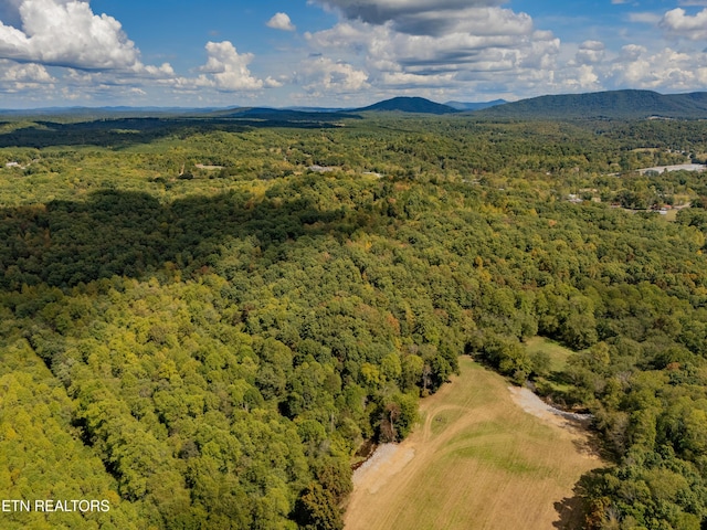 Old Burrville Rd, Sunbright, TN 37872