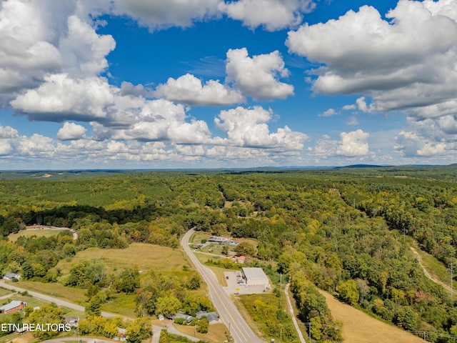 Old Burrville Rd, Sunbright, TN 37872