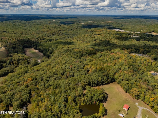 Old Burrville Rd, Sunbright, TN 37872