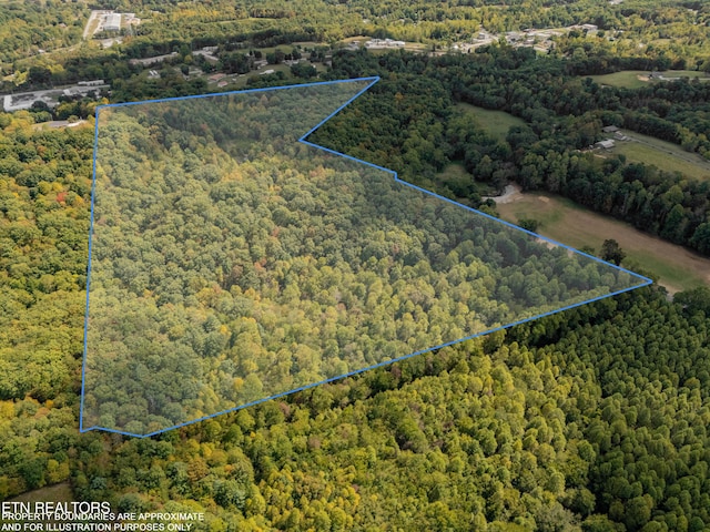 Old Burrville Rd, Sunbright TN, 37872 land for sale