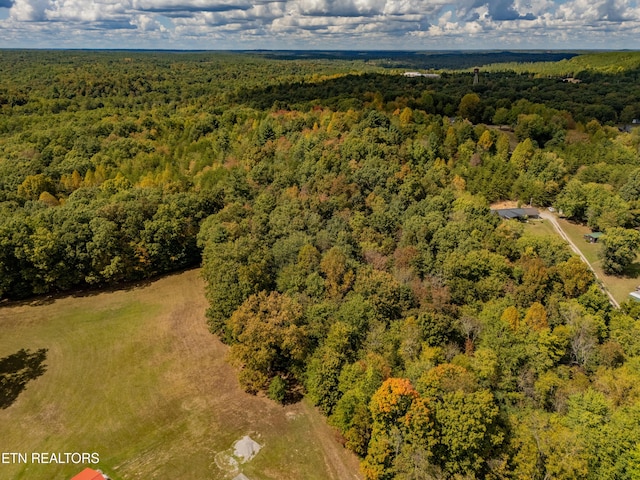 Old Burrville Rd, Sunbright, TN 37872