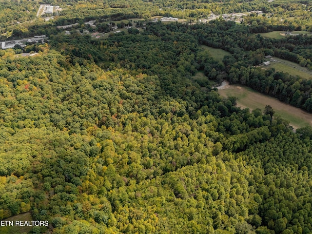 Old Burrville Rd, Sunbright, TN 37872