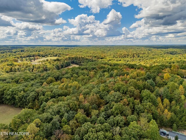 Old Burrville Rd, Sunbright, TN 37872