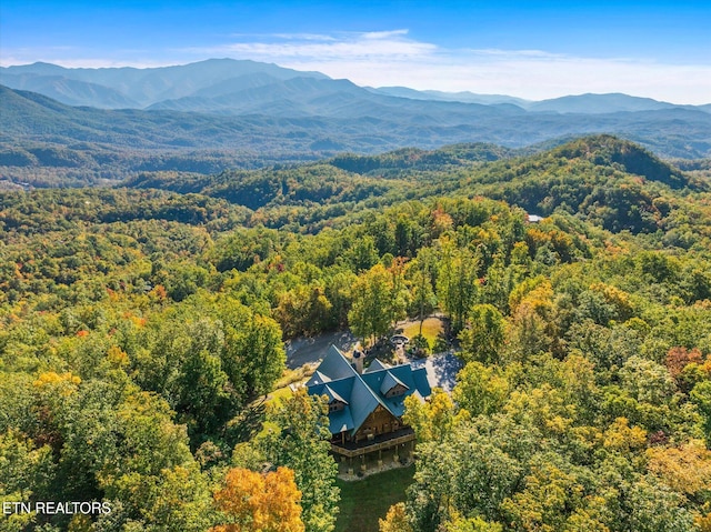 drone / aerial view with a mountain view