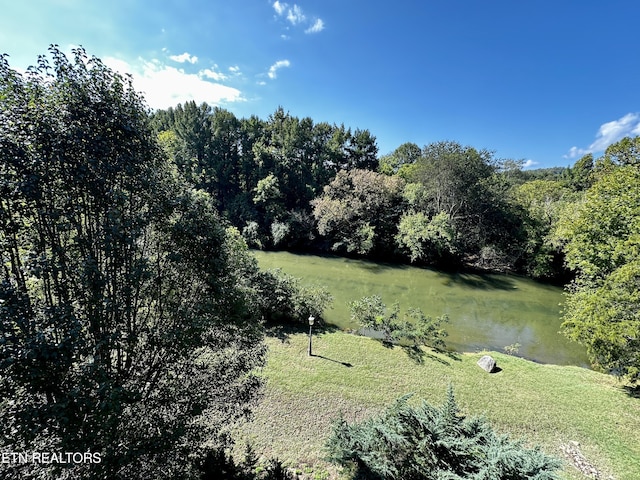 view of landscape featuring a water view and a view of trees