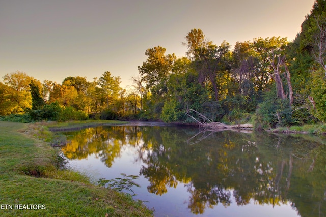 water view featuring a forest view